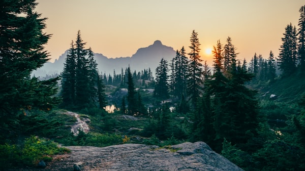 Rebuilding Nature: From Ecosystem Restoration to Measurable Ecological Value