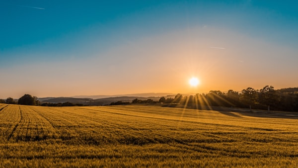 SDG 15: Life on Land